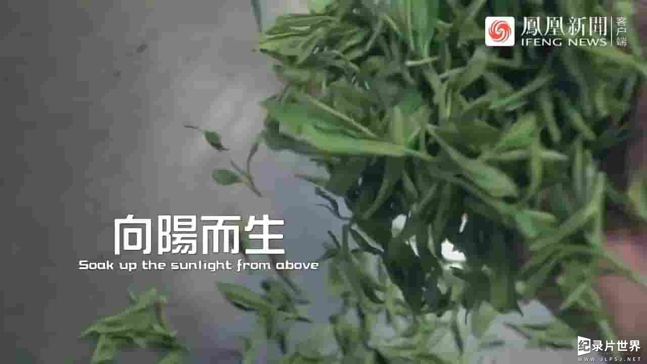 凤凰新闻《节气里的中国·谷雨 立夏 2023》全1集
