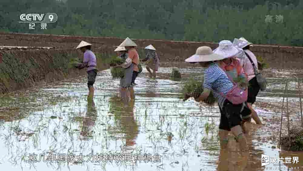 央视纪录片《归田 Returning Farmland 2021》全2集