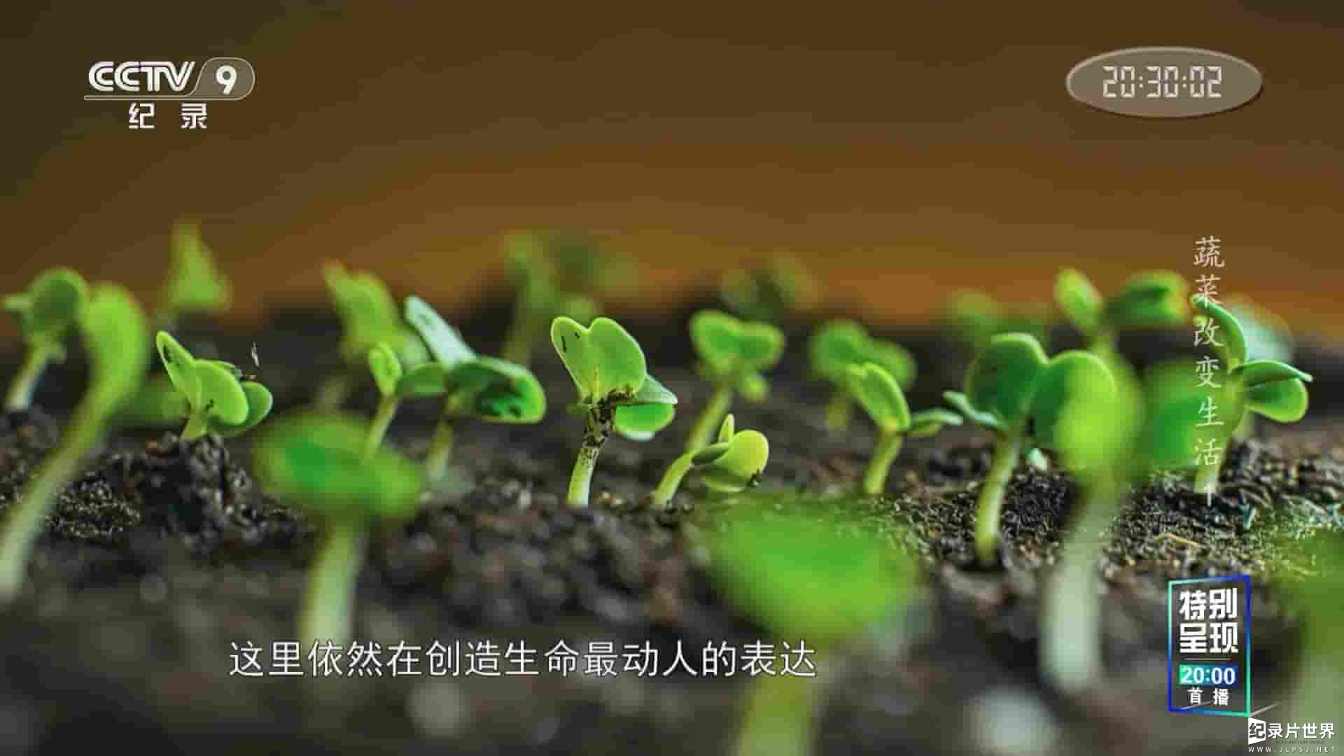 央视纪录片《蔬菜改变生活 Vegetable Town of China 2022》全3集 