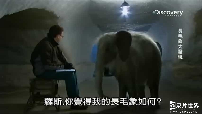 探索频道《长毛象大发现  baby mammoth》全1集