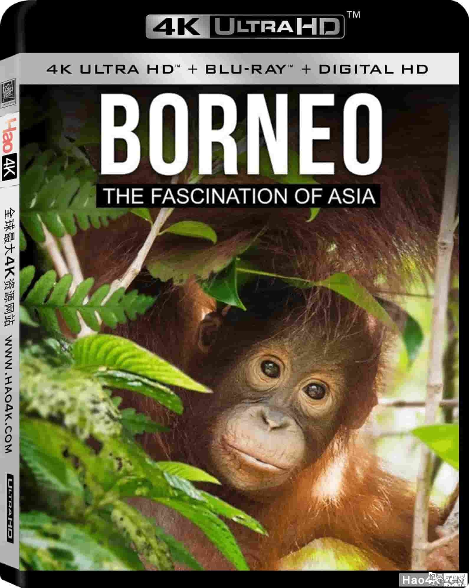 美国纪录片《婆罗洲：亚洲的魅力 Borneo The Fascination of Asia 2017》全1集 