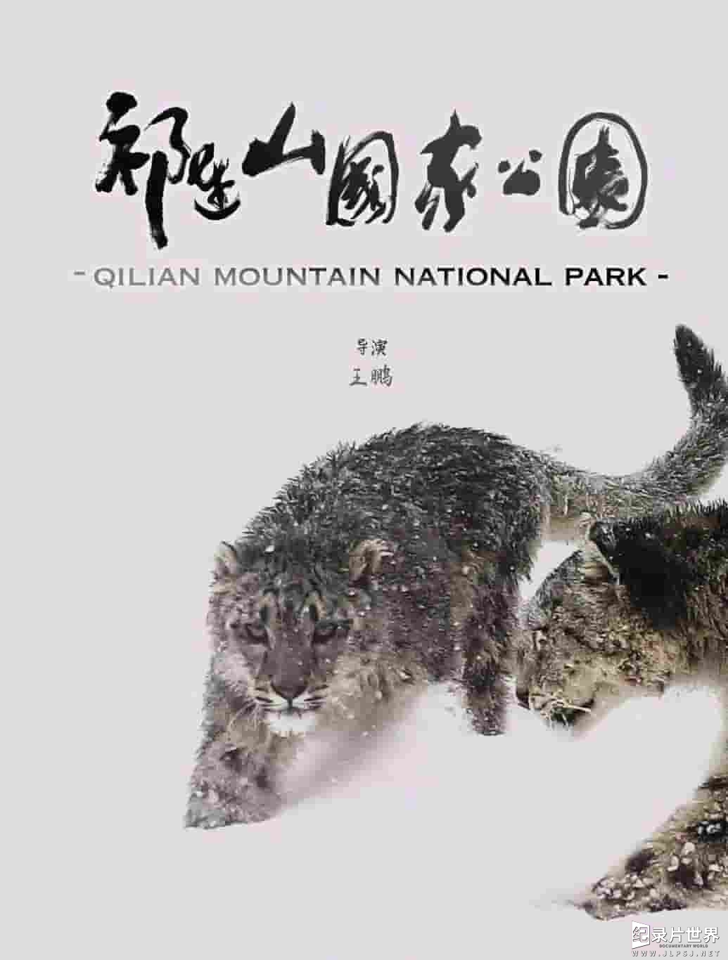 国产纪录片《祁连山国家公园 2021》全2集 