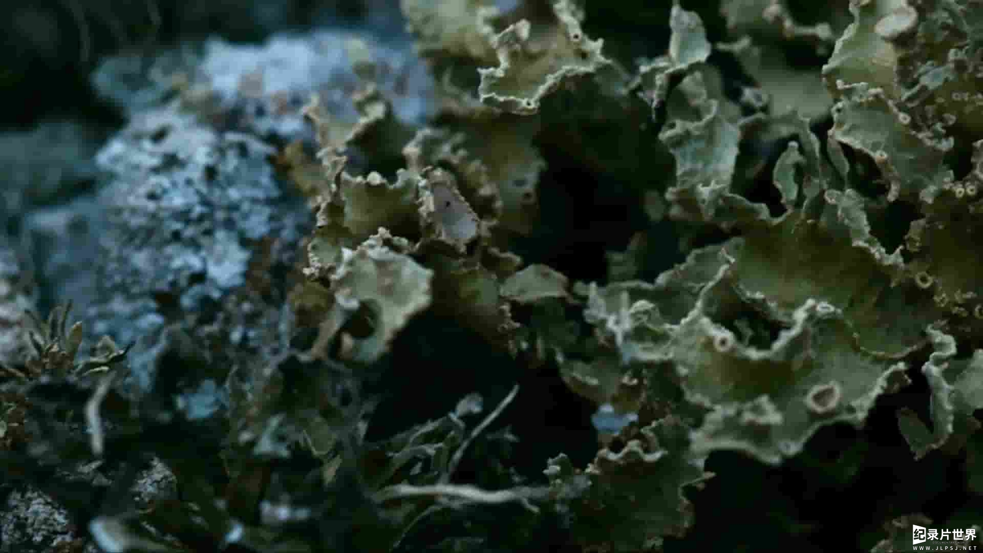 德国纪录片《探索加那利群岛 The Canary Islands 2016》全2集 