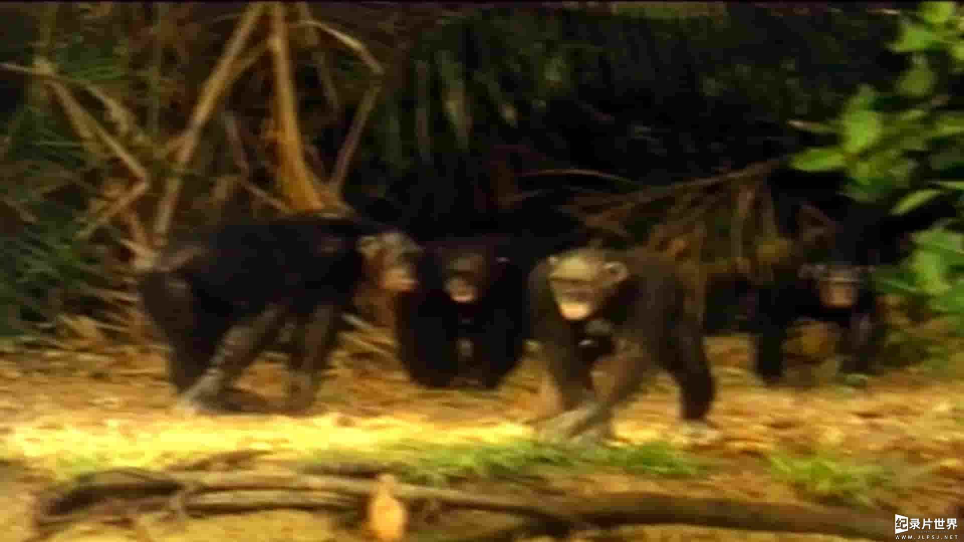 加拿大纪录片《人类猎物 Human Prey 2009》全3集