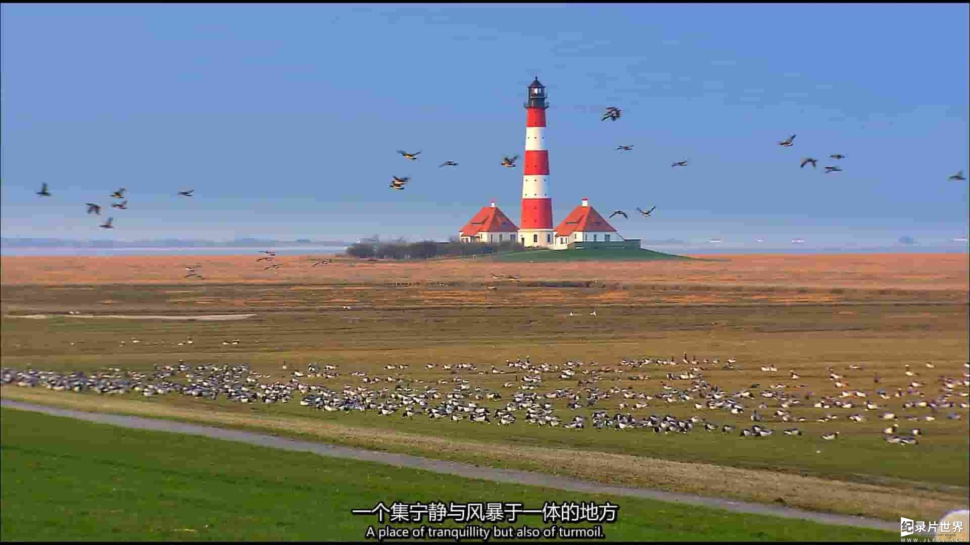  德国纪录片《我们的北海 Secrets of the North Sea 2013》全1集