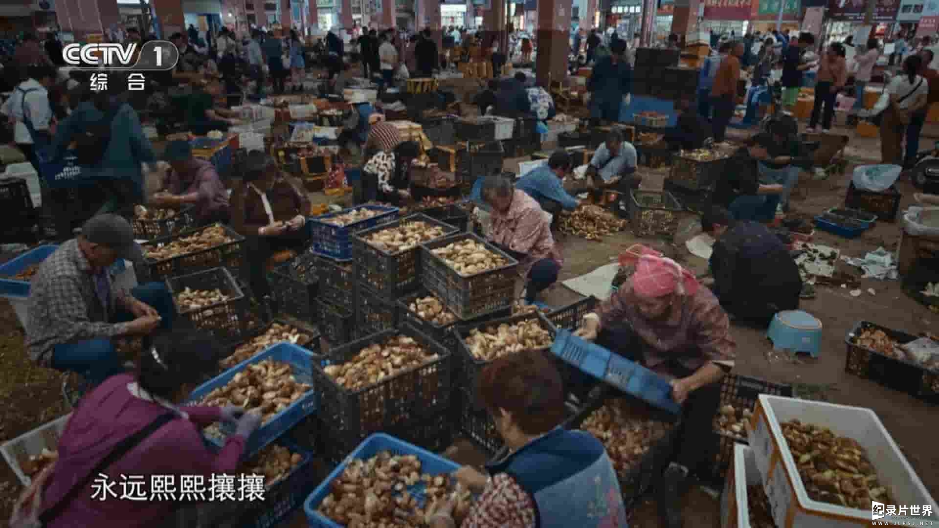 国产纪录片《舌尖上的中国 A Bite of China IV 2025》第4季全7集