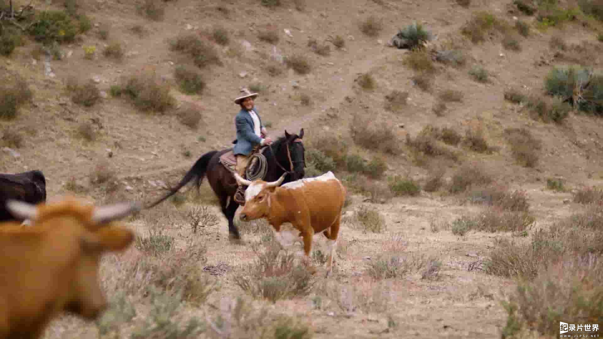 美国纪录片《狂野西部编年史 Wild West Chronicles 2020》第1-3季全39集