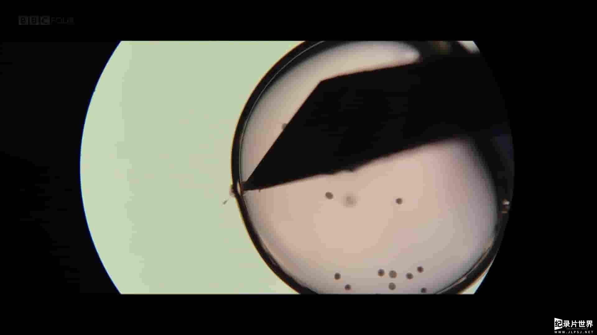 BBC纪录片《基因革命：改变人性 The Gene Revolution: Changing Human Nature 2020》全1集