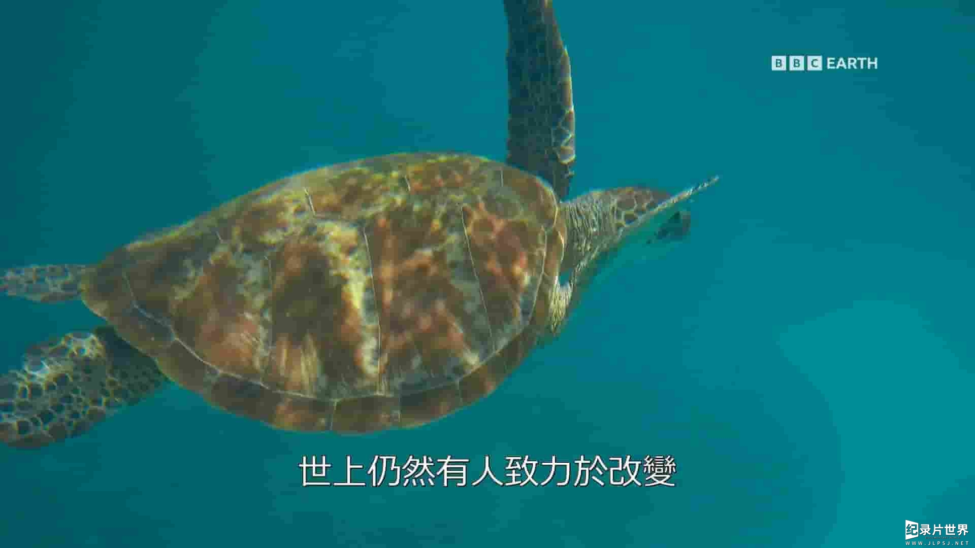 BBC纪录片《气候变化：艾德前线调查 Climate Change: Ade on the Frontline 2021》第1季全3集