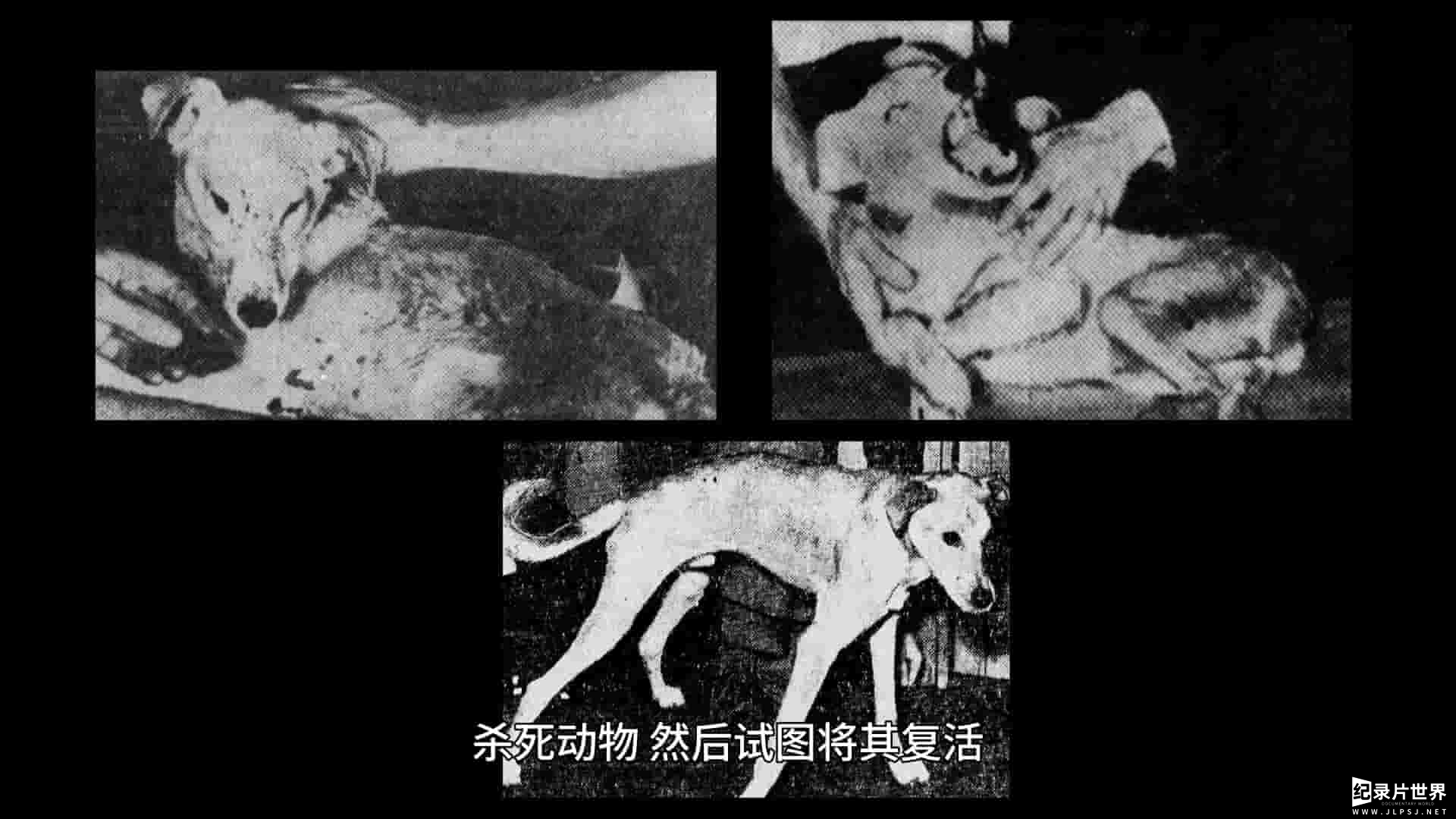 NHK纪录片《弗兰肯斯坦的诱惑 科学的黑暗史 The Frankenstein Temptation 2016》全12集
