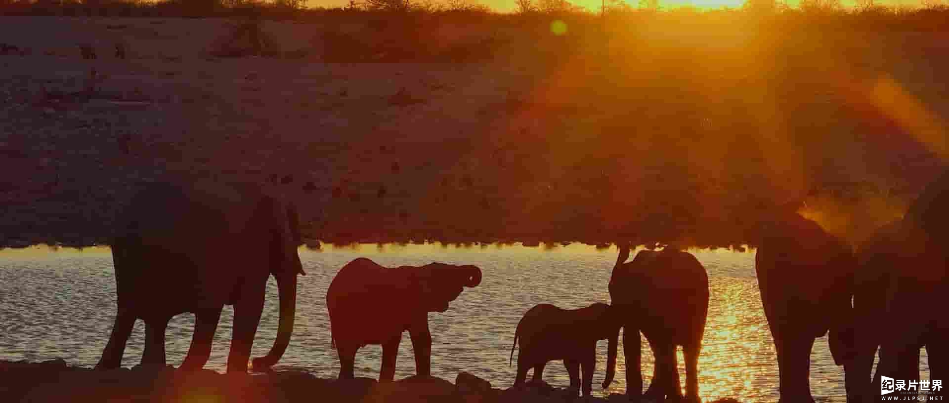 英国纪录片《我永远不可能成为素食者 I Could Never Go Vegan 2024》全1集 