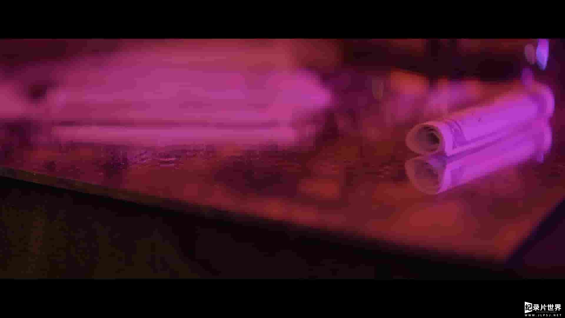 Netflix纪录片《那些消失的女孩：追缉长岛连环杀手 Gone Girls: The Long Island Serial Killer 2025》全3集