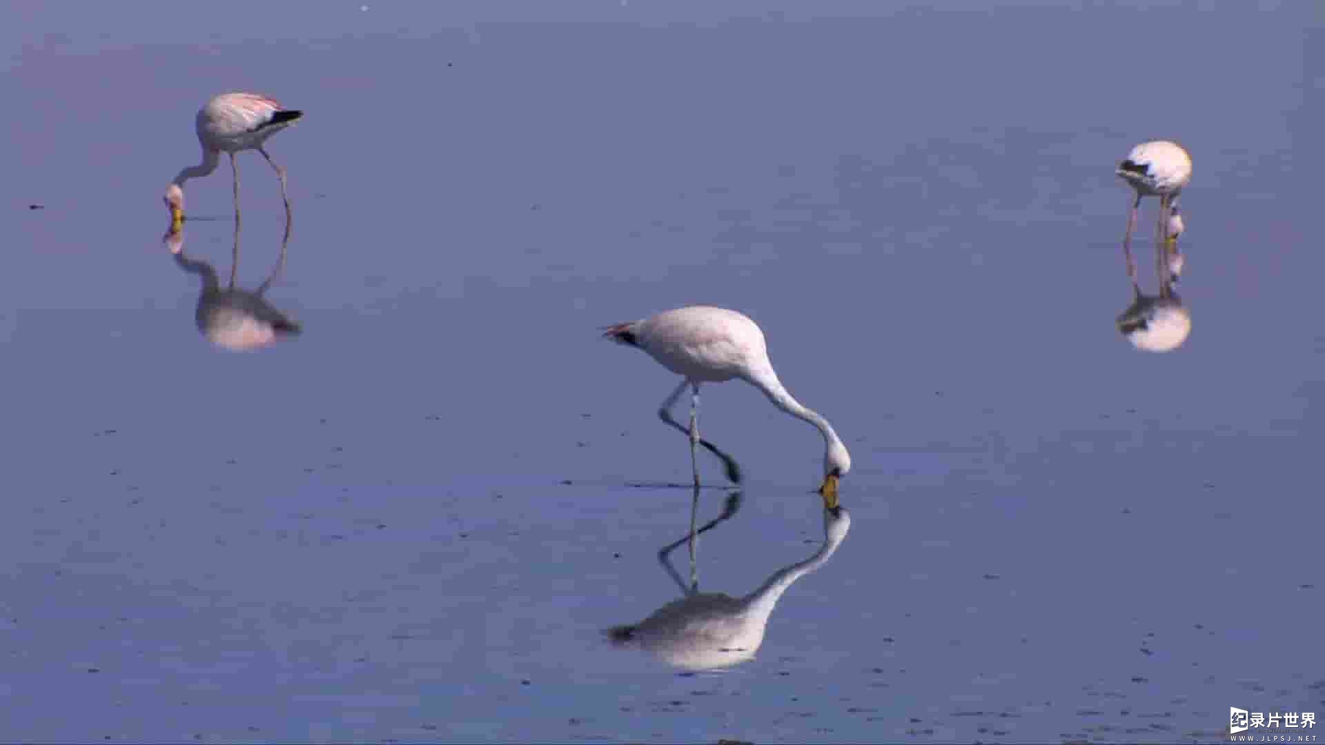 美国纪录片《世界名胜 Great Places of the World 2016》全6集 
