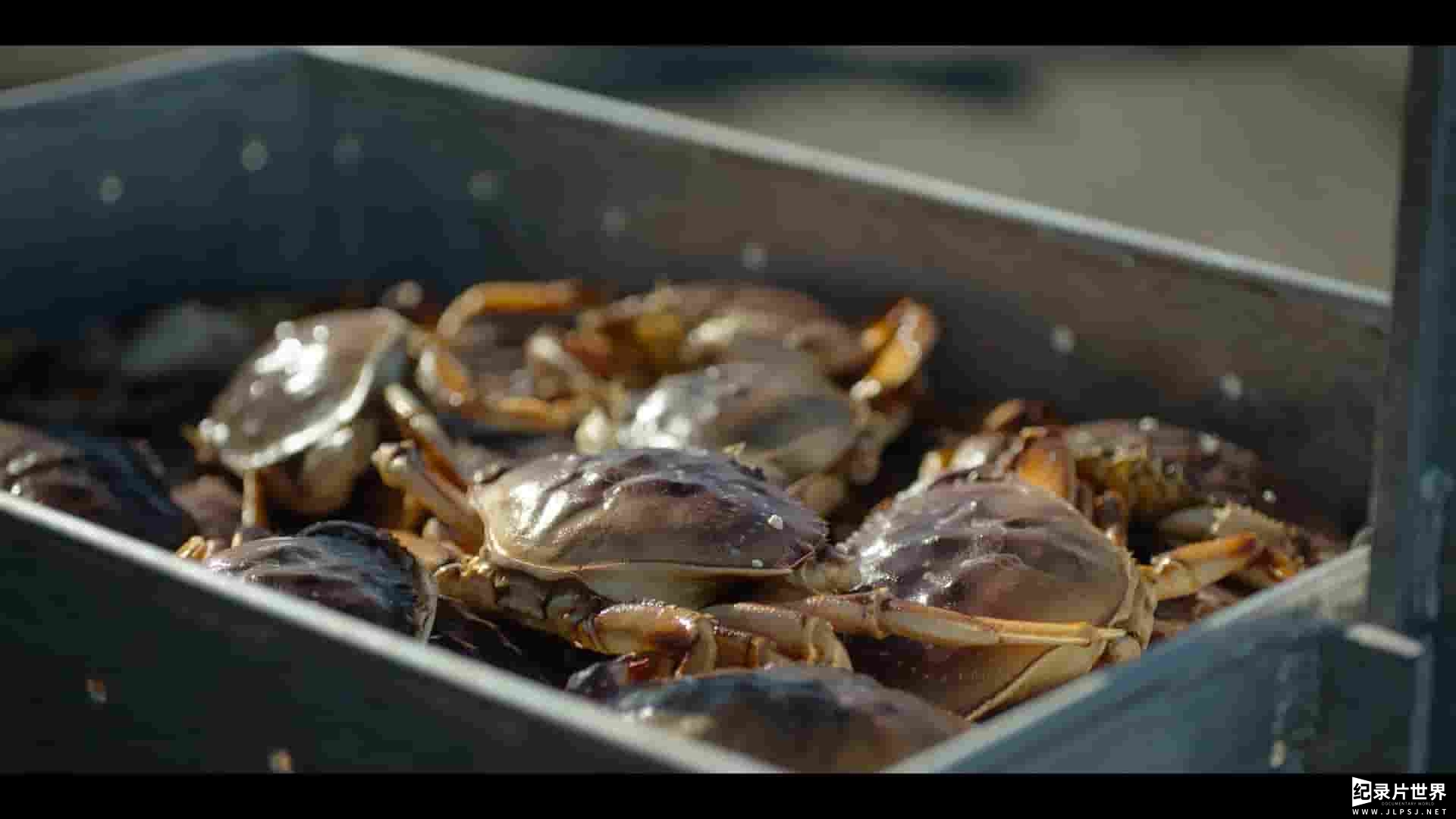 Netflix纪录片《主厨的餐桌：名厨云集 Chef's Table: Legends 2025》全4集 