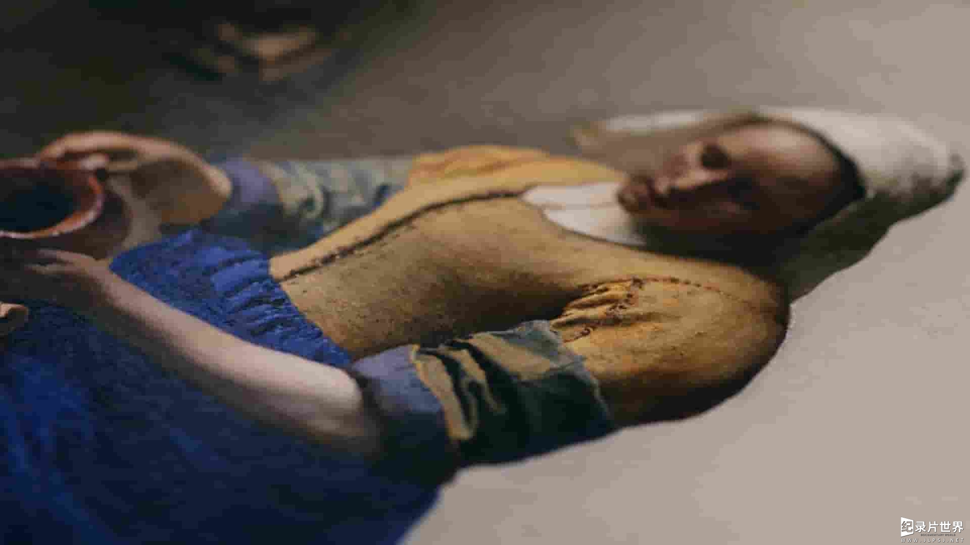 荷兰纪录片《靠近维米尔 Close to Vermeer 2023》全1集 