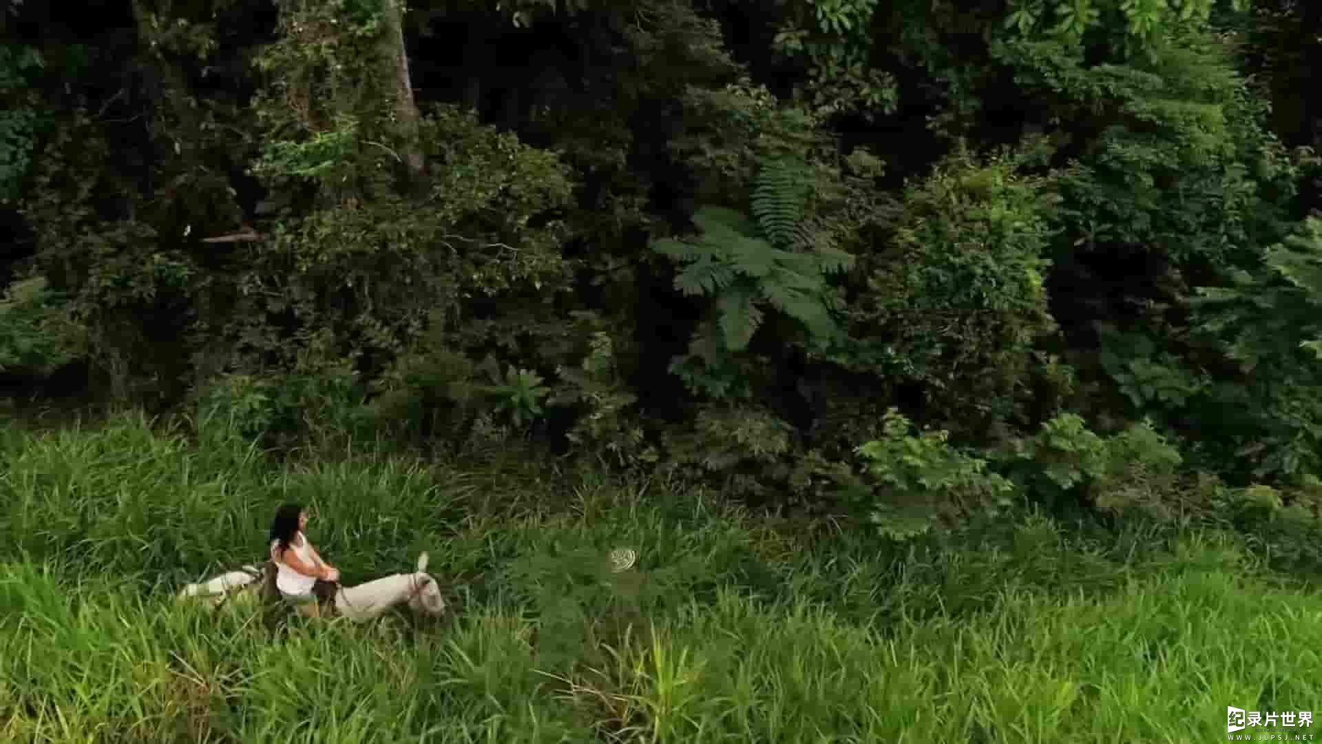 探索频道《赤裸与恐惧：外来者 Naked and Afraid: Foreign Exchange》第1季全12集