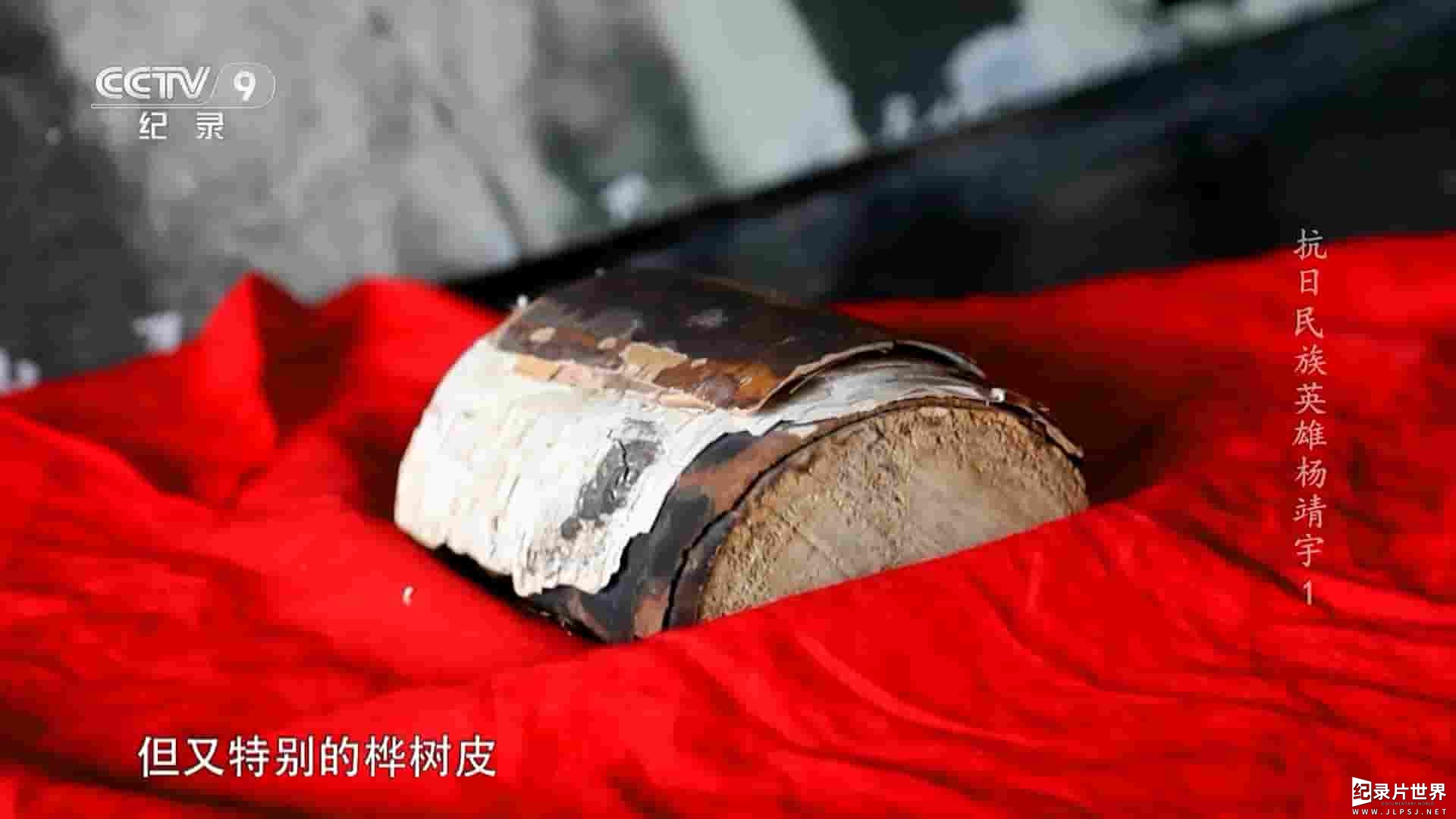 央视纪录片《抗日民族英雄杨靖宇 2023》全4集
