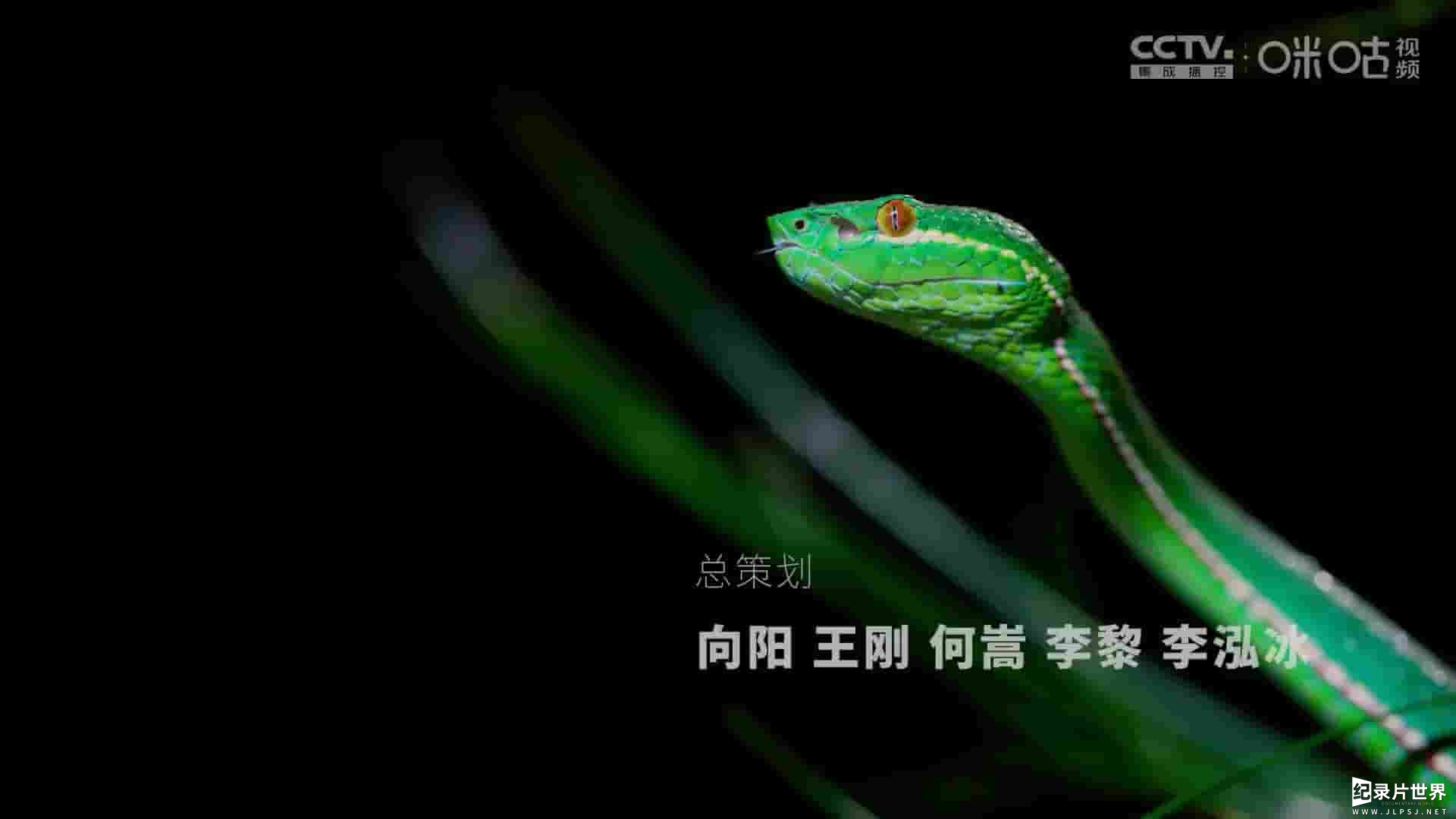 贵州纪录片《万物之生·贵州篇 2024》全5集