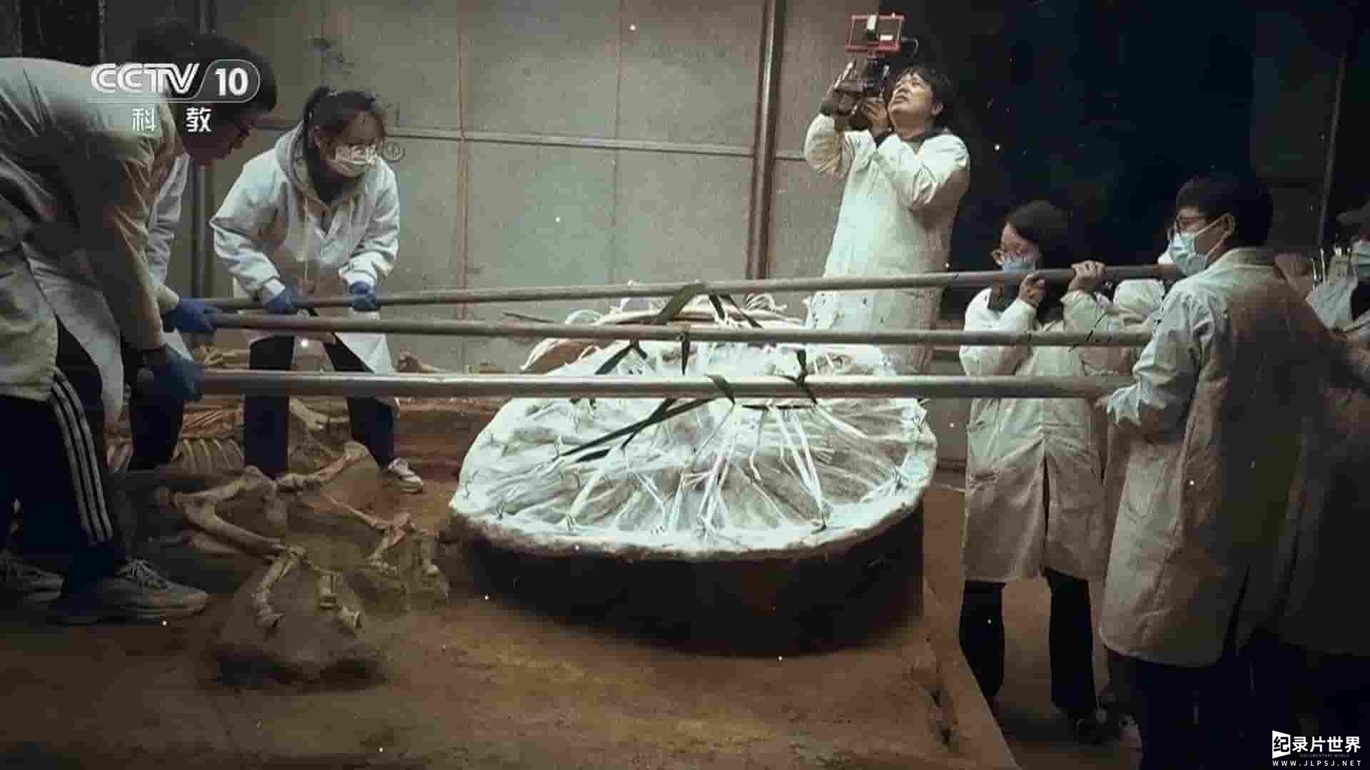 央视探索·发现《2023考古进行时》第4季全5集