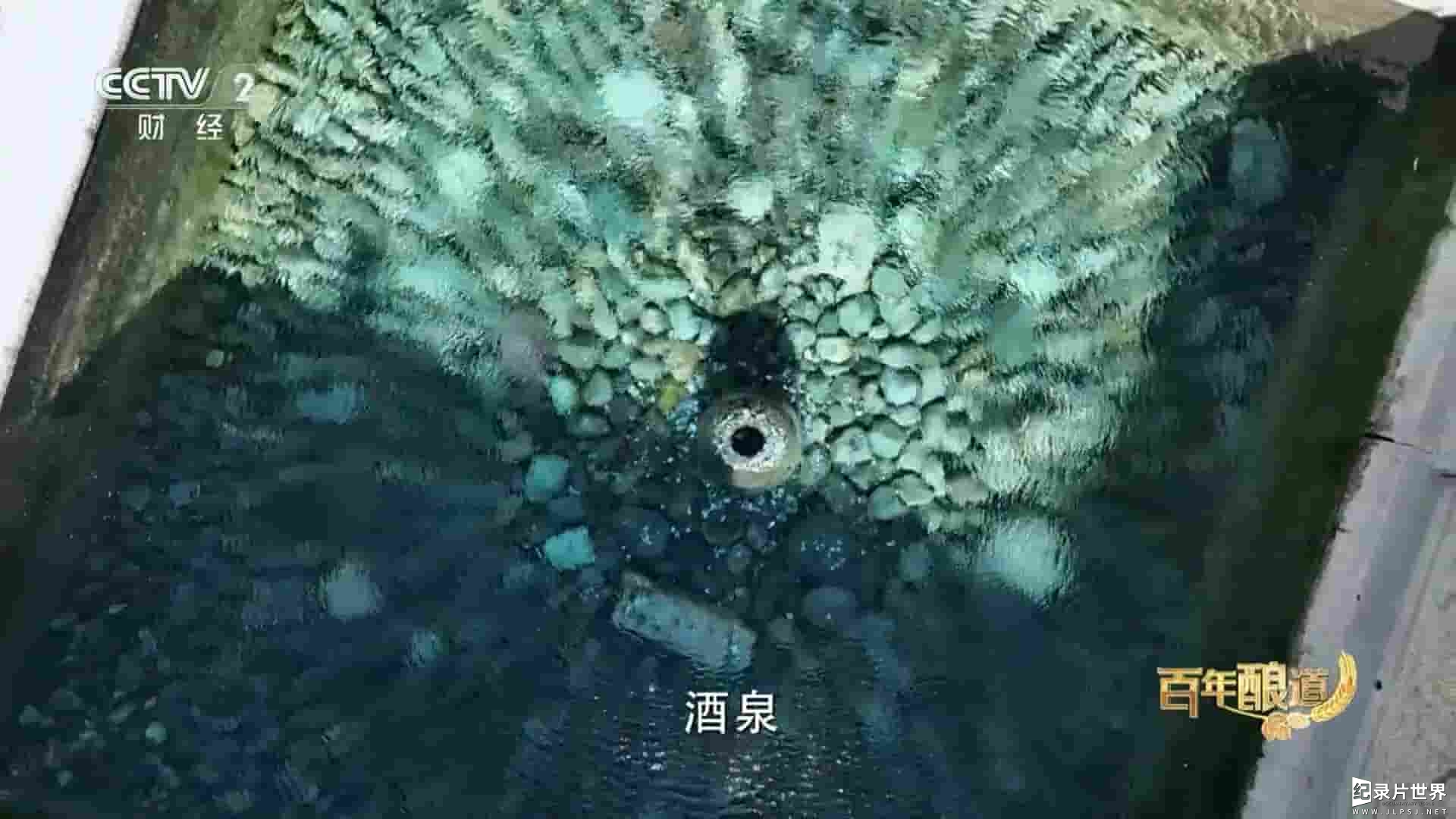 央视啤酒纪录片《百年酿道 2023》全2集