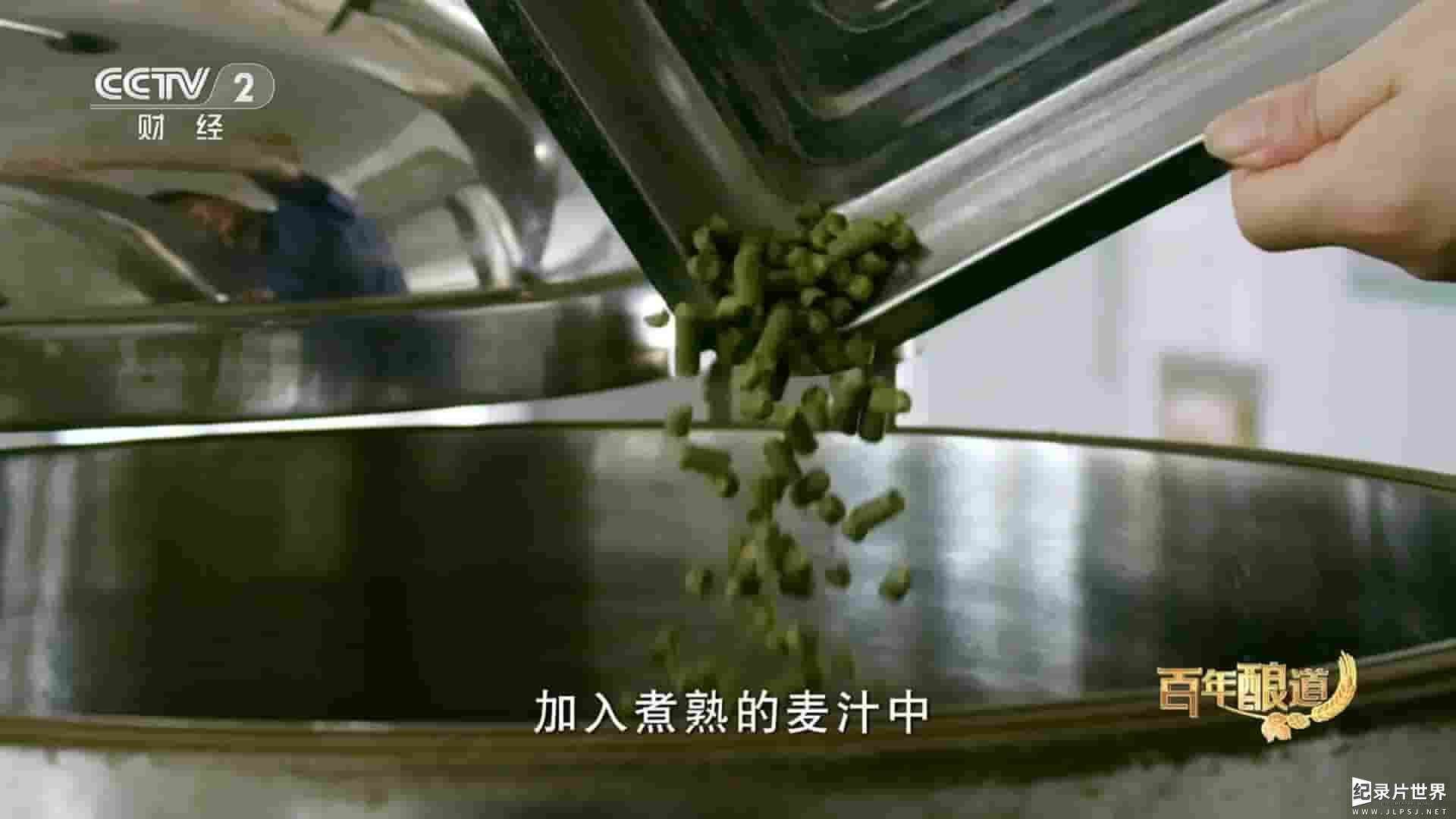 央视啤酒纪录片《百年酿道 2023》全2集