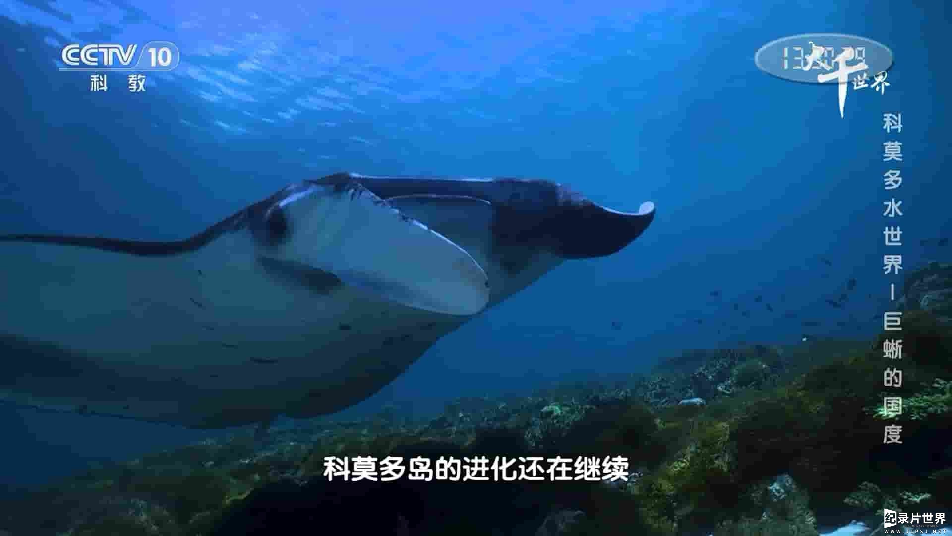 德国纪录片《科莫多水世界 The Waterworld of Komodo 2020》全5集 