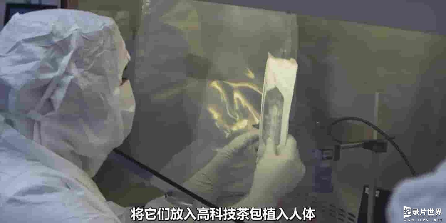医学纪录片《人体实验 The Human Trial 2022》全1集
