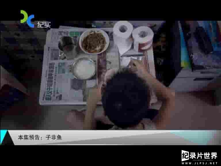 香港纪录片《子非鱼 Fish Story 2013》全1集