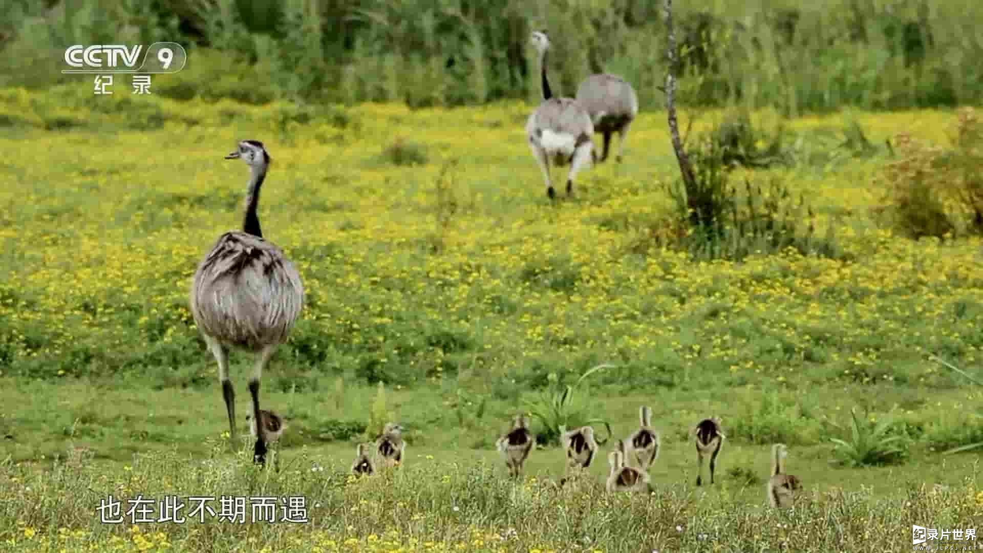 ARTE纪录片《野性乌拉圭 Wild Uruguay 2020》全1集