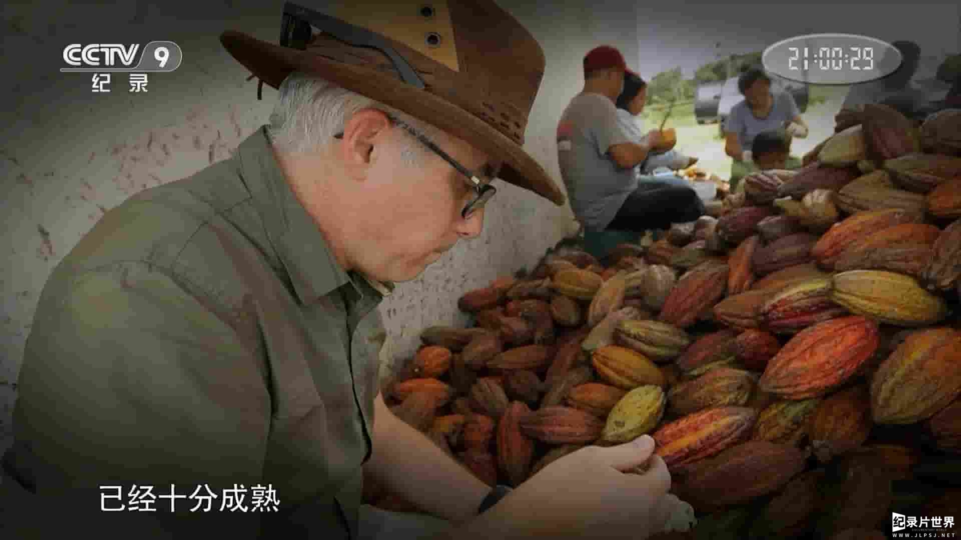 央视纪录片《巧克力之旅 Master Of Chocolate 2019》全1集