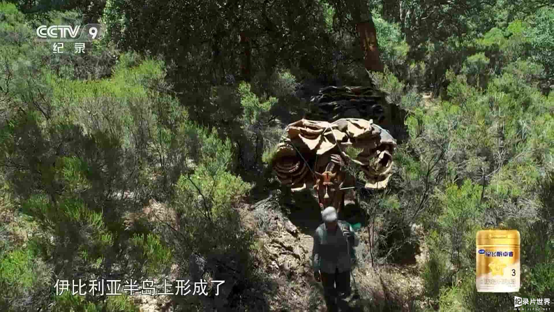 西班牙纪录片《伊比利亚密林 2020》全1集