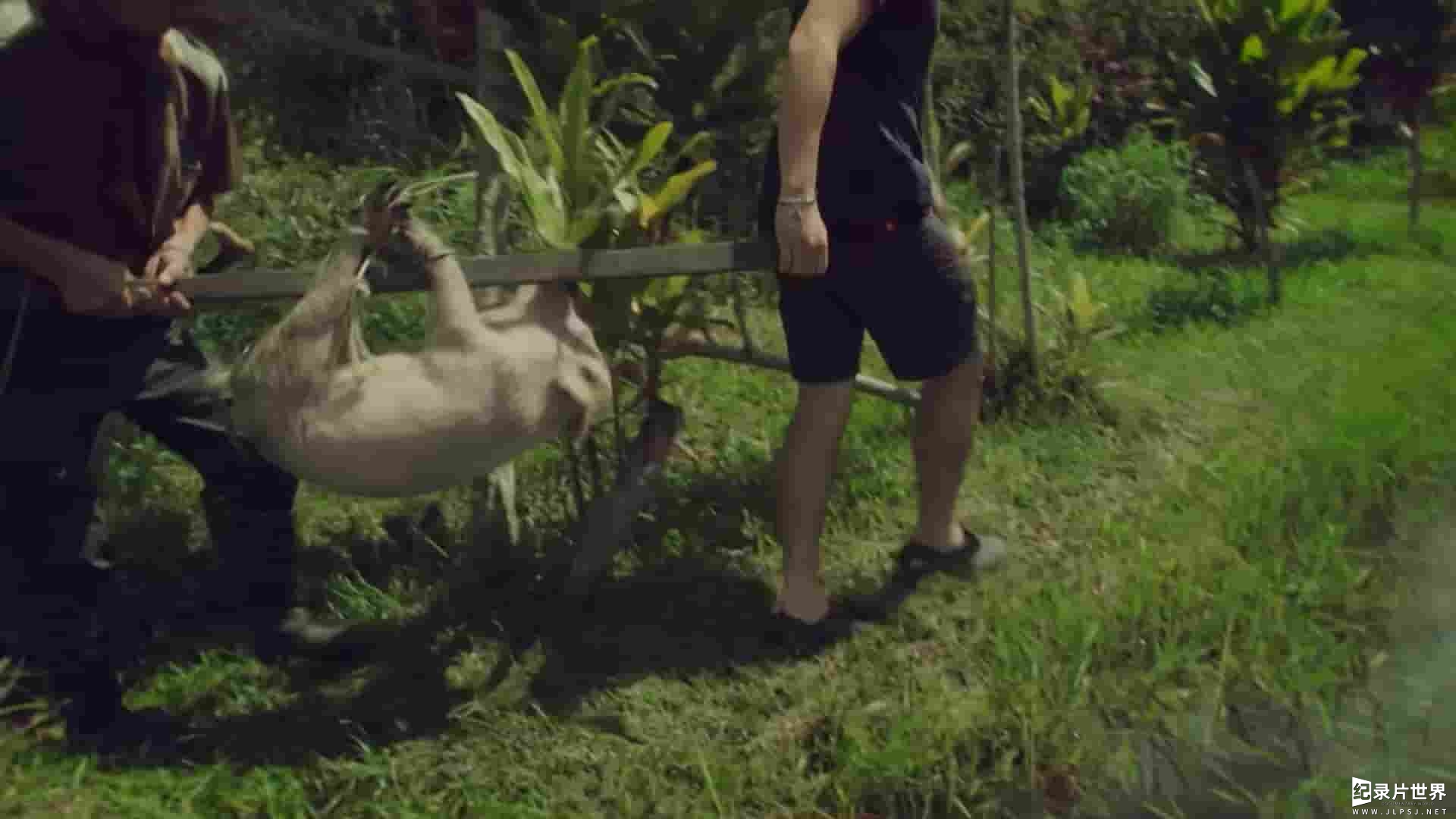 探索频道《婆罗洲的考验 Surviving Borneo》第1季全6集