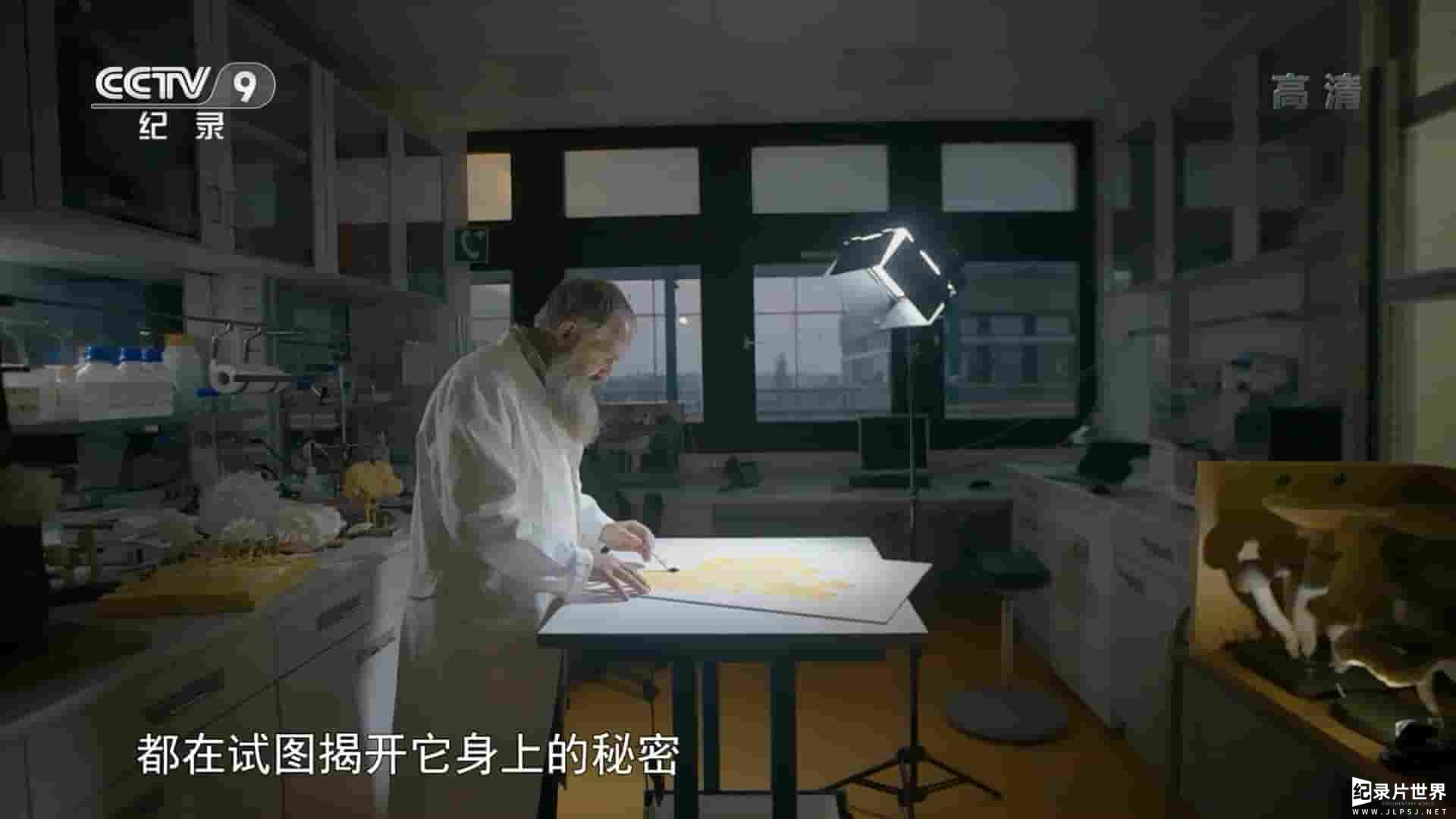 法国纪录片《黏菌：无脑天才/神奇黏菌 The Blob A genius Without a Brain 2019》全1集