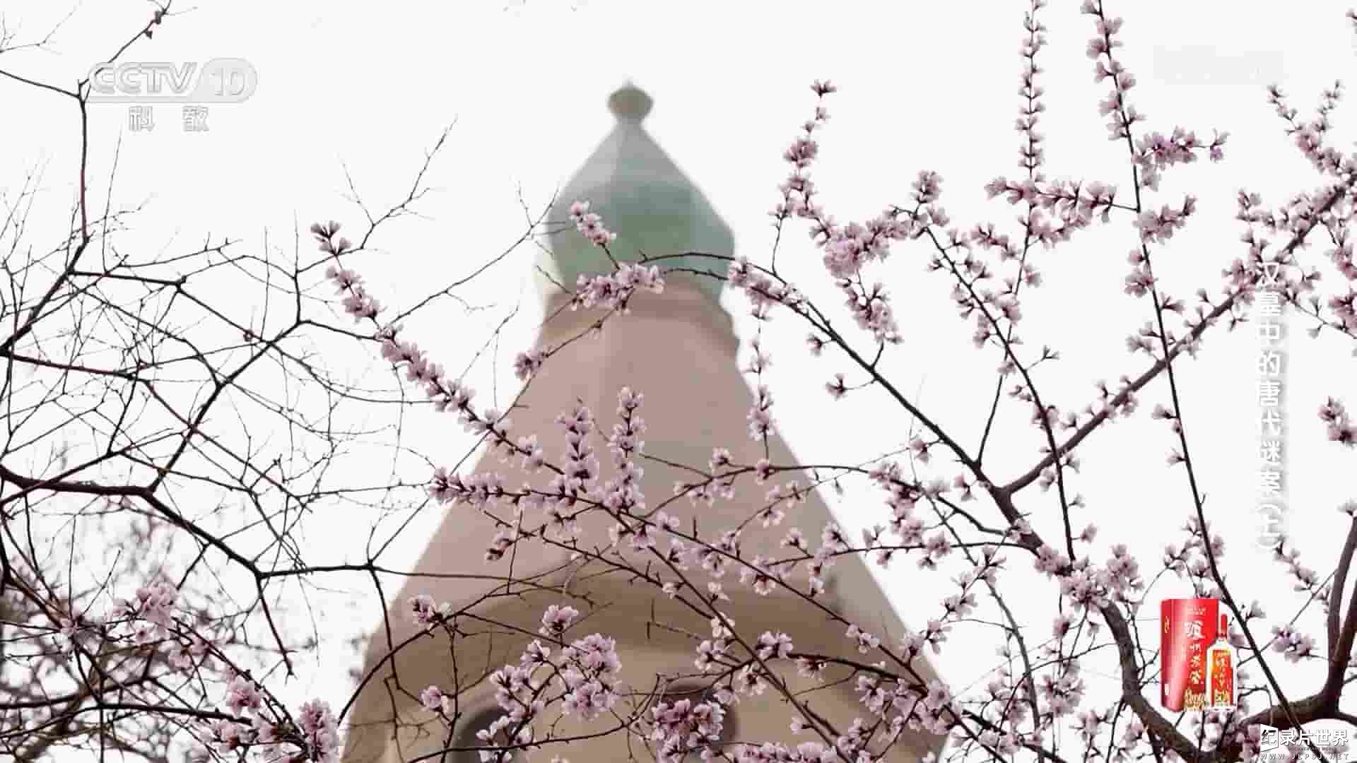 央视探索发现《汉墓中的唐代谜案 2023》全2集