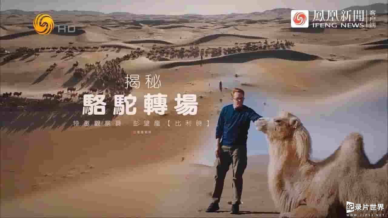 近观中国《揭秘骆驼转场 2024》全1集 近观中国《揭秘骆驼转场 2024》全1集