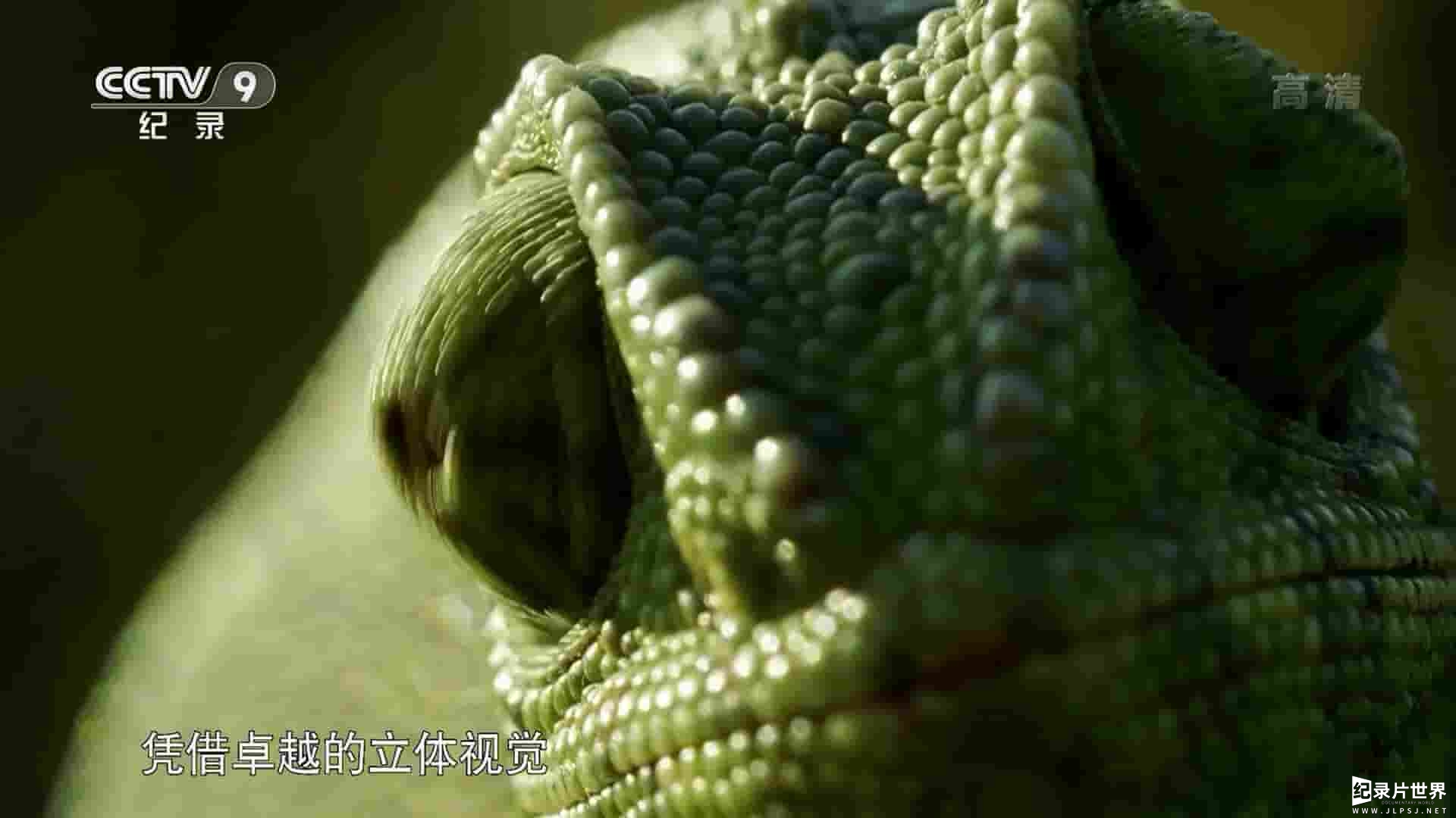  央视纪录片《途经海格力斯之柱 Wild Gibraltar 2015》全1集