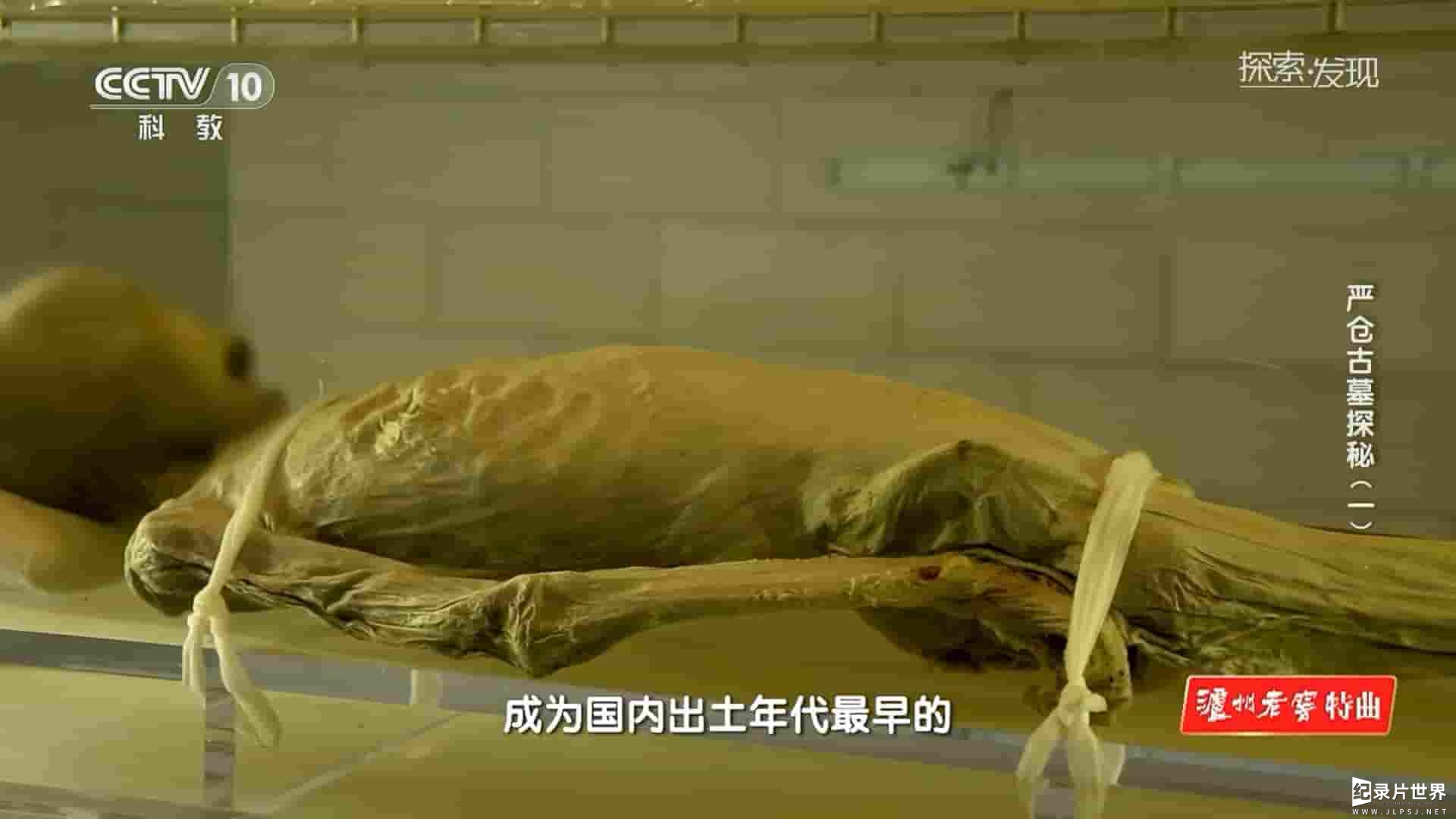 央视探索发现《严仓古墓探秘 2023》全3集