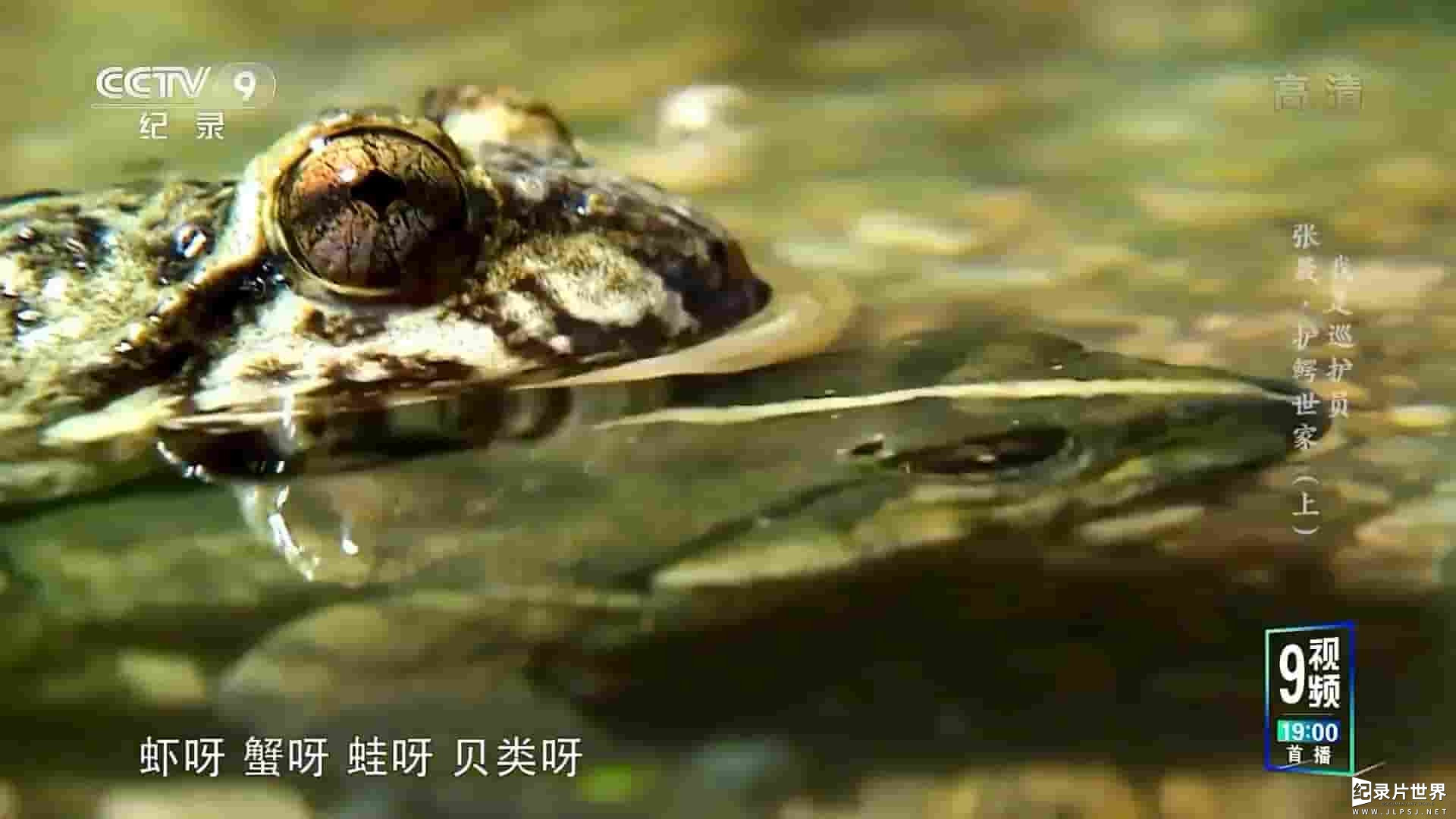 央视纪录片《我是巡护员 2021》全9集